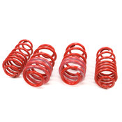 Audi Lowering Springs - H&R 290591