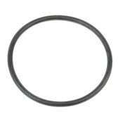 BMW O-Ring (394X22) - Genuine BMW 11217804748