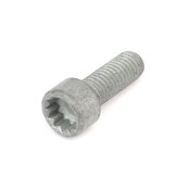 VW High Pressure Fuel Pump Bolt - Genuine VW Audi N10868201