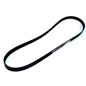 Audi VW Serpentine Belt - Genuine Audi VW 079903137AA