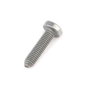 BMW Fillister Head Screw (Isa M5X20) - Genuine BMW 07140150280