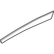 VW Door Trim Molding - Genuine VW 561867419C3H5