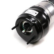 Mercedes Suspension Strut -  Genuine Mercedes 1663205666