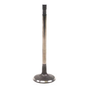 Volvo Intake Valve - Genuine Volvo 30684049
