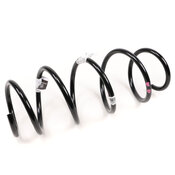 Mercedes Coil Spring - Genuine Mercedes 2123212104