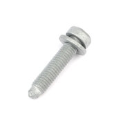BMW Isa Screw (M6X25) - Genuine BMW 07129907266