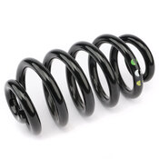 Audi Coil Spring Rear (A6 Quattro A6 S6) - Genuine Audi 4F0511115BJ