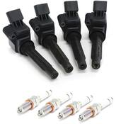 VW Ignition Coil and Spark Plug Service Kit - Genuine VW KIT-02387