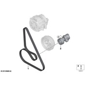 BMW Serpentine Belt - Genuine BMW 11287631827