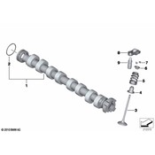 BMW Engine Camshaft - Genuine BMW 11317619380