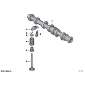 BMW Engine Camshaft - Genuine BMW 11317645955