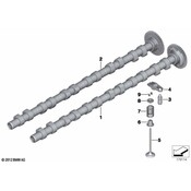 BMW Engine Camshaft - Genuine BMW 11318575439