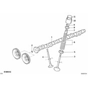 BMW Set Valve Spring Yellow-Red - Genuine BMW 11341315912