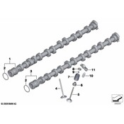 BMW Engine Exhaust Valve - Genuine BMW 11348638404