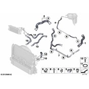BMW Radiator Coolant Hose - Genuine BMW 17127620391