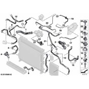 BMW Radiator Coolant Hose - Genuine BMW 17128071760