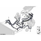 BMW Radiator Coolant Hose - Genuine BMW 17128616524