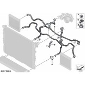 BMW Radiator Coolant Hose - Genuine BMW 17128679009