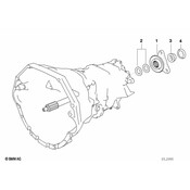 BMW Collar Nut - Genuine BMW 23217501583