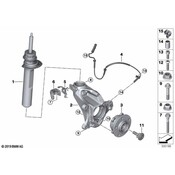 BMW Suspension Strut - Genuine BMW 31306877061