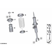 BMW Strut Assembly - Genuine BMW 31316784021