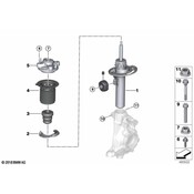BMW Suspension Strut - Genuine BMW 31316896528