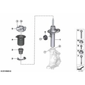 BMW Suspension Strut - Genuine BMW 31316896533