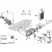 BMW Exch-Front Differential I=4.44 - Genuine BMW 31507603004