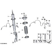 BMW Suspension Strut - Genuine BMW 37106869019