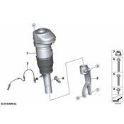 BMW Suspension Strut - Genuine BMW 37106869036