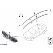 BMW Kidney Grille - Genuine BMW 51138079742