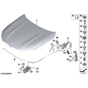 BMW Hood Lift Support - Genuine BMW 51237347402