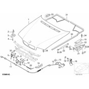 BMW Center Plate - Genuine BMW 51238166681
