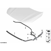 BMW Hood Seal - Genuine BMW 51767450921
