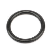 BMW O-Ring (234 X 353) - Genuine BMW 11317690476