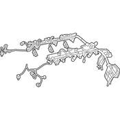 Audi VW Fuel Injector Harness - Genuine VW Audi 06L971627AA