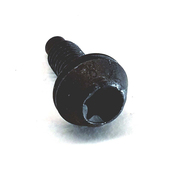 Audi VW Door Check Bolt - Genuine VW Audi WHT003497