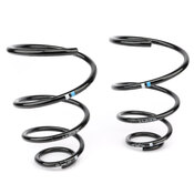 Porsche Coil Spring Set - Genuine Porsche 98634353118504