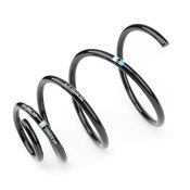 Porsche Coil Spring Set - Genuine Porsche 98634353118504