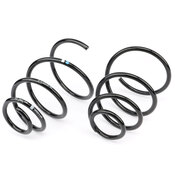 Porsche Coil Spring Set - Genuine Porsche 98634353118504
