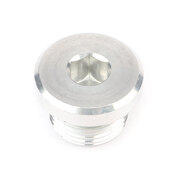 Porsche Seal Bolt with Sealing Ring for PDK Trans - Genuine Porsche PAF008528