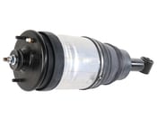 Land Rover Shock Absorber - BWI LR038096