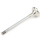 BMW Exhaust Valve - Corteco 11341722891