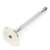 BMW Exhaust Valve - Corteco 11341722891