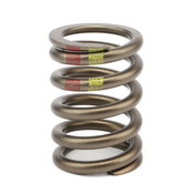 Mercedes Engine Valve Spring  - Genuine Mercedes 1100530120