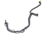 Jaguar Radiator Hose - Genuine Jaguar C2Z28162