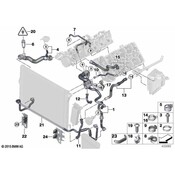 BMW Radiator Coolant Hose - Genuine BMW 17127582894