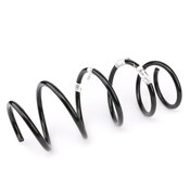 Mercedes Coil Spring - Genuine Mercedes 2123212004
