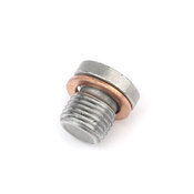  Audi Porsche VW Differential/Haldex Fluid Plug - Genuine Audi VW N90281802