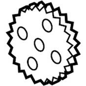 Audi Timing Sprocket - Genuine VW Audi 079109570AD